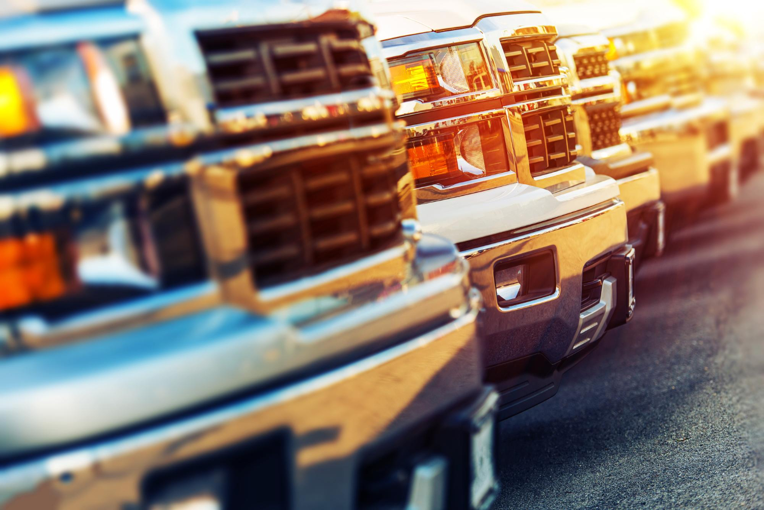 Fleet & Trade